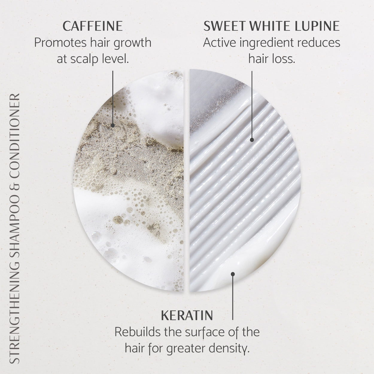 Strength & Style Collection