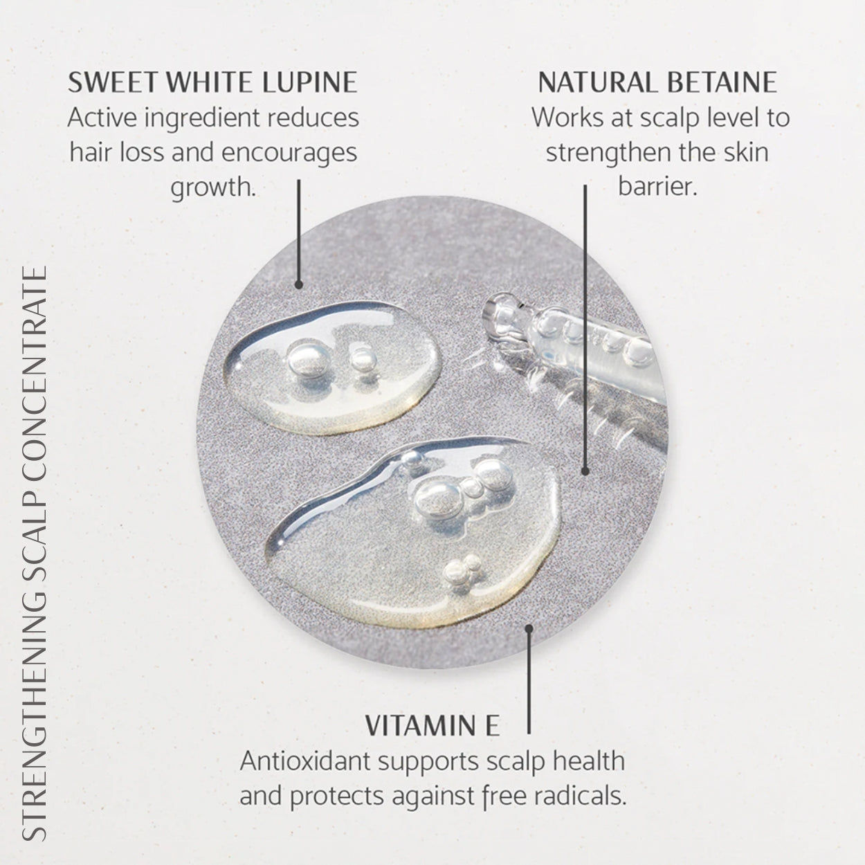 Strength & Style Collection