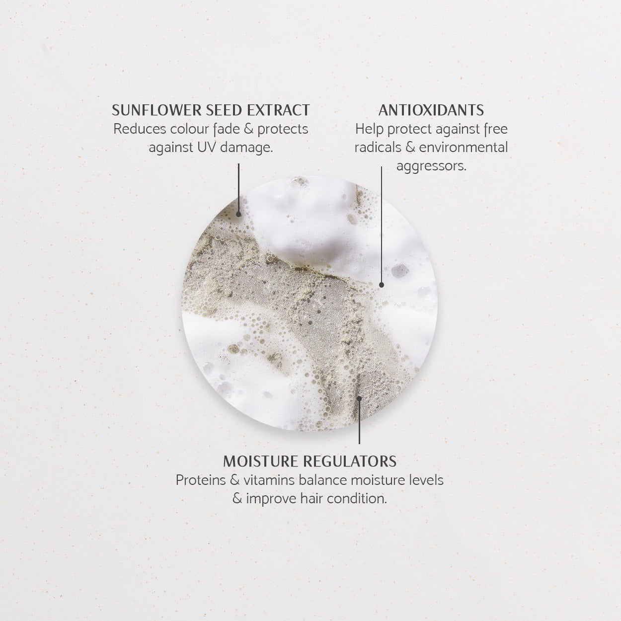 Wonder Trio | Save 48%